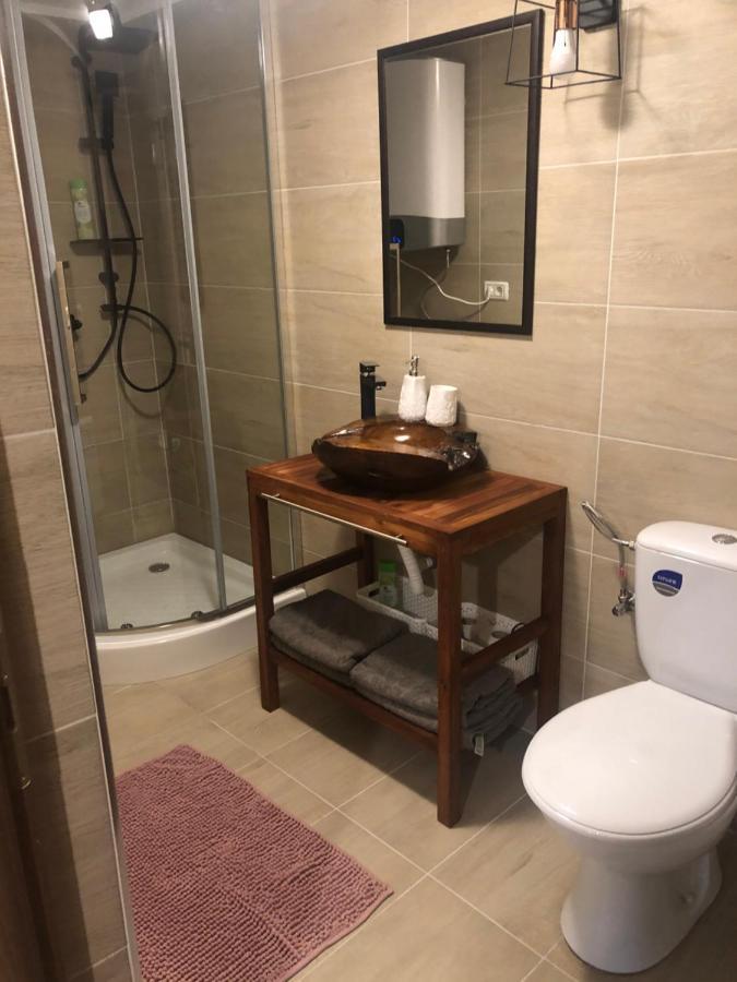 Domeniul Horj Casa Din Deal Moisei Buitenkant foto