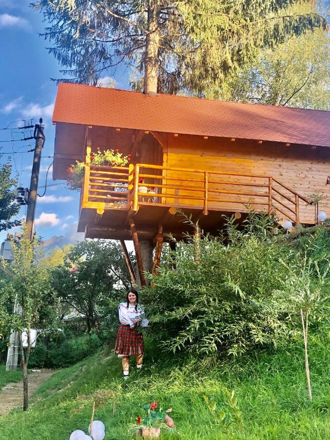 Domeniul Horj Casa Din Deal Moisei Buitenkant foto