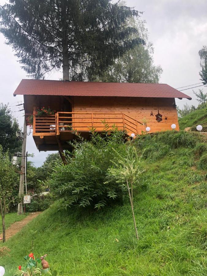 Domeniul Horj Casa Din Deal Moisei Buitenkant foto
