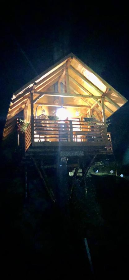 Domeniul Horj Casa Din Deal Moisei Buitenkant foto