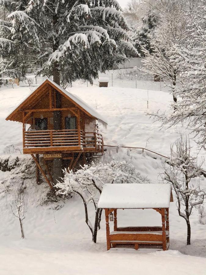 Domeniul Horj Casa Din Deal Moisei Buitenkant foto