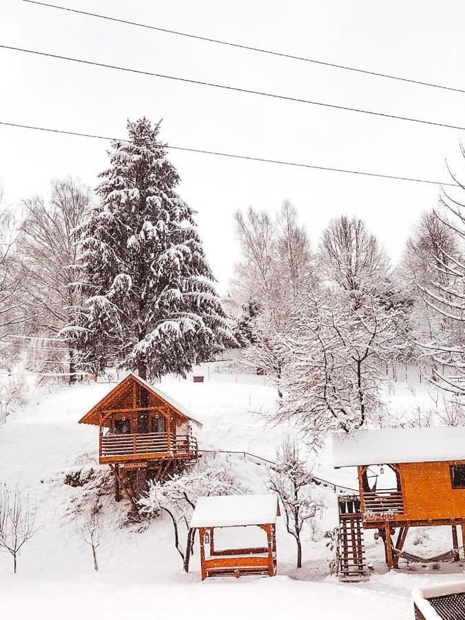 Domeniul Horj Casa Din Deal Moisei Villa Buitenkant foto