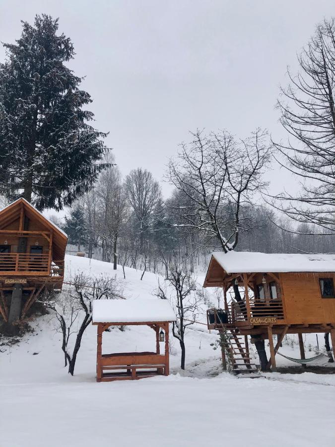 Domeniul Horj Casa Din Deal Moisei Buitenkant foto